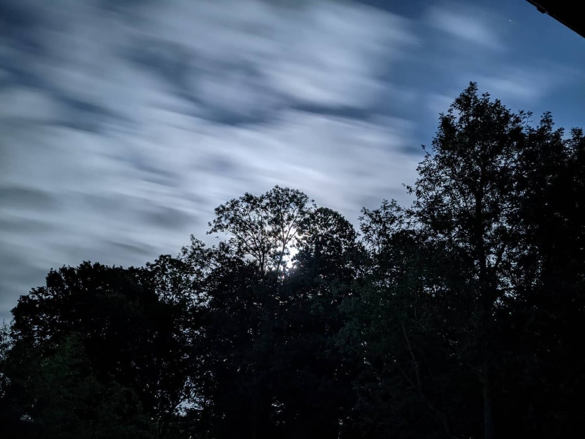 🎶 "Freak out in a moonage daydream, oooh!" 🎶 #team...