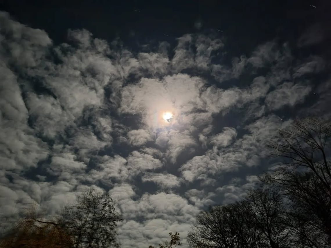 🎶 "I see the bad moon a-rising!!!" 🎶...