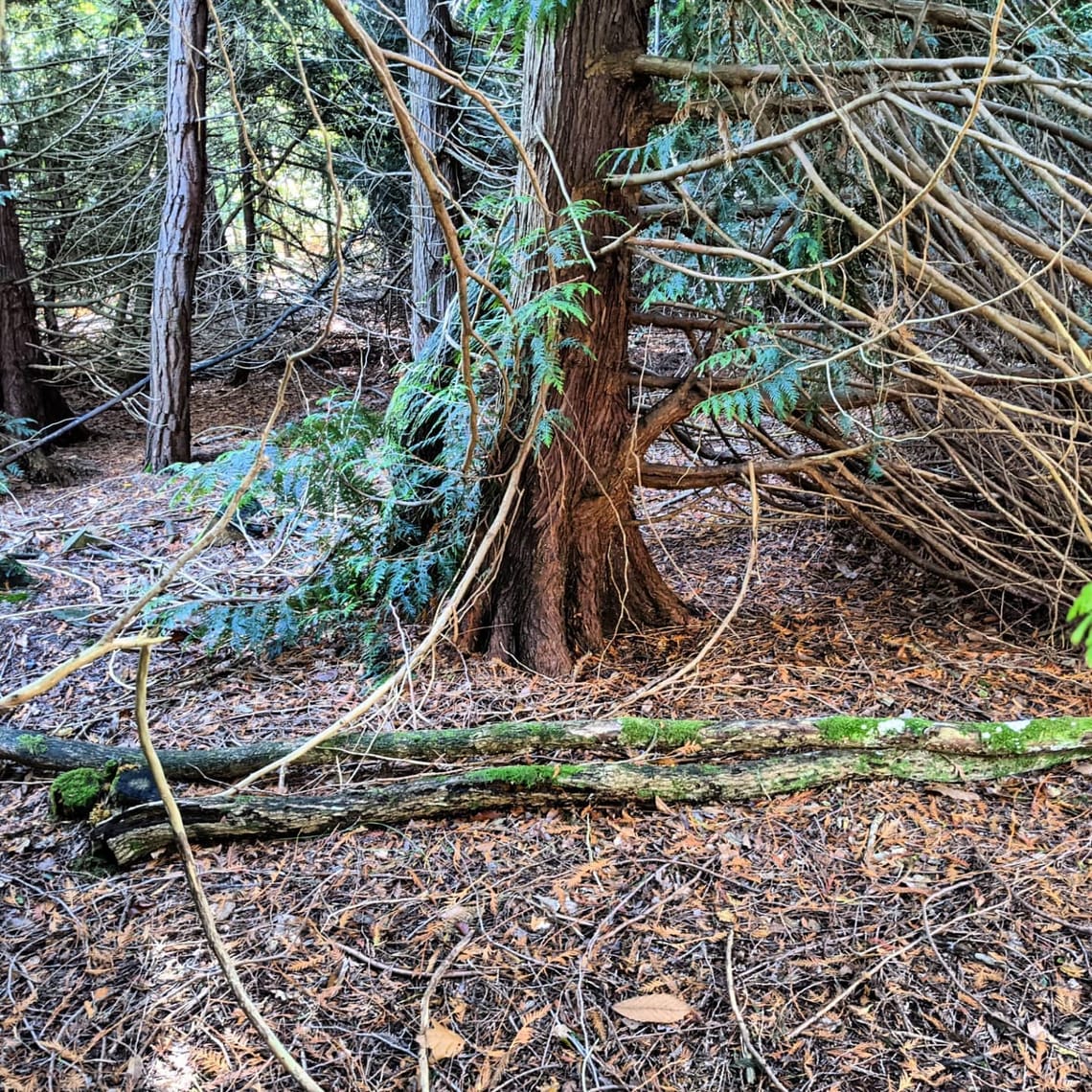 Couleurs d'automne 🍂🍁🌲...