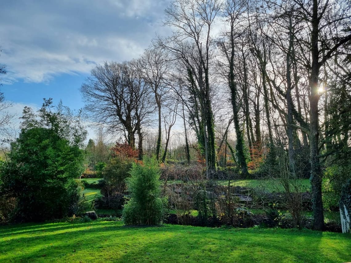 1er matin de 2022 ...