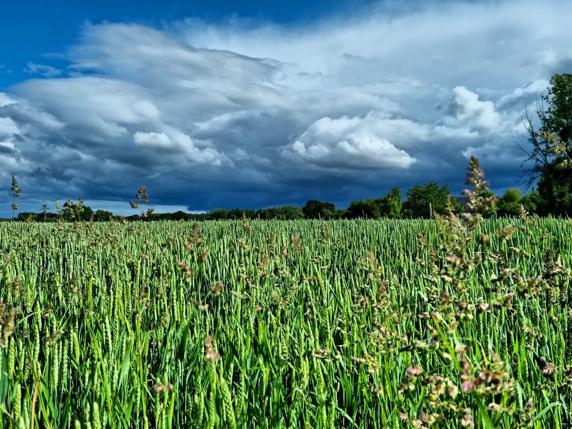 Essais sur nuages et champs 🌩🌿...