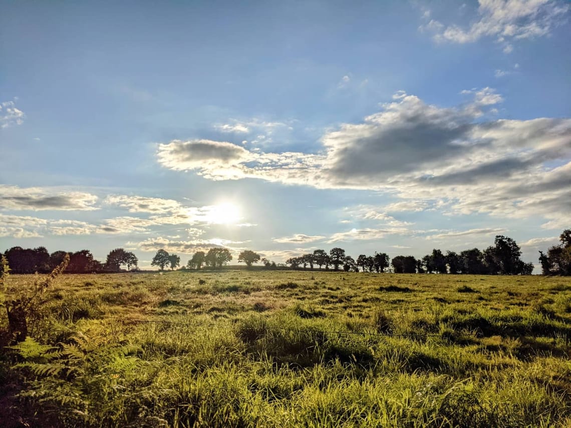 🎶 "You only need a roof when it's raining...