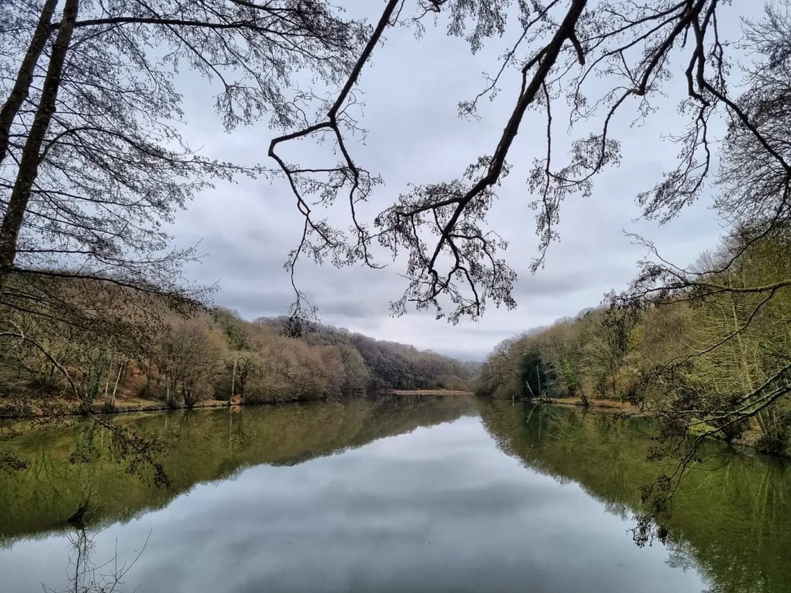 Balade du vendredi 💪...