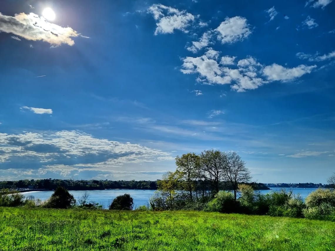 C'est vert, et il fait beau 🌞...