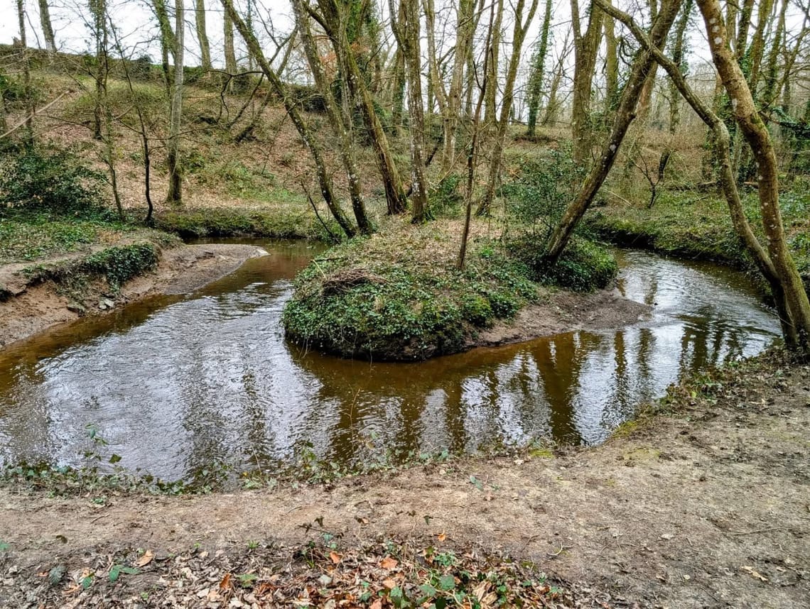 Balade hivernale 🌳🍁...