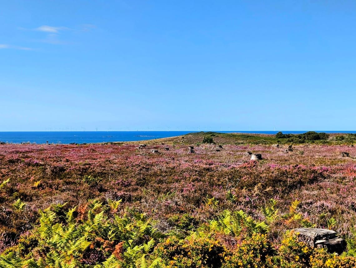C'est Erquy ou la Corse ? 🌊...