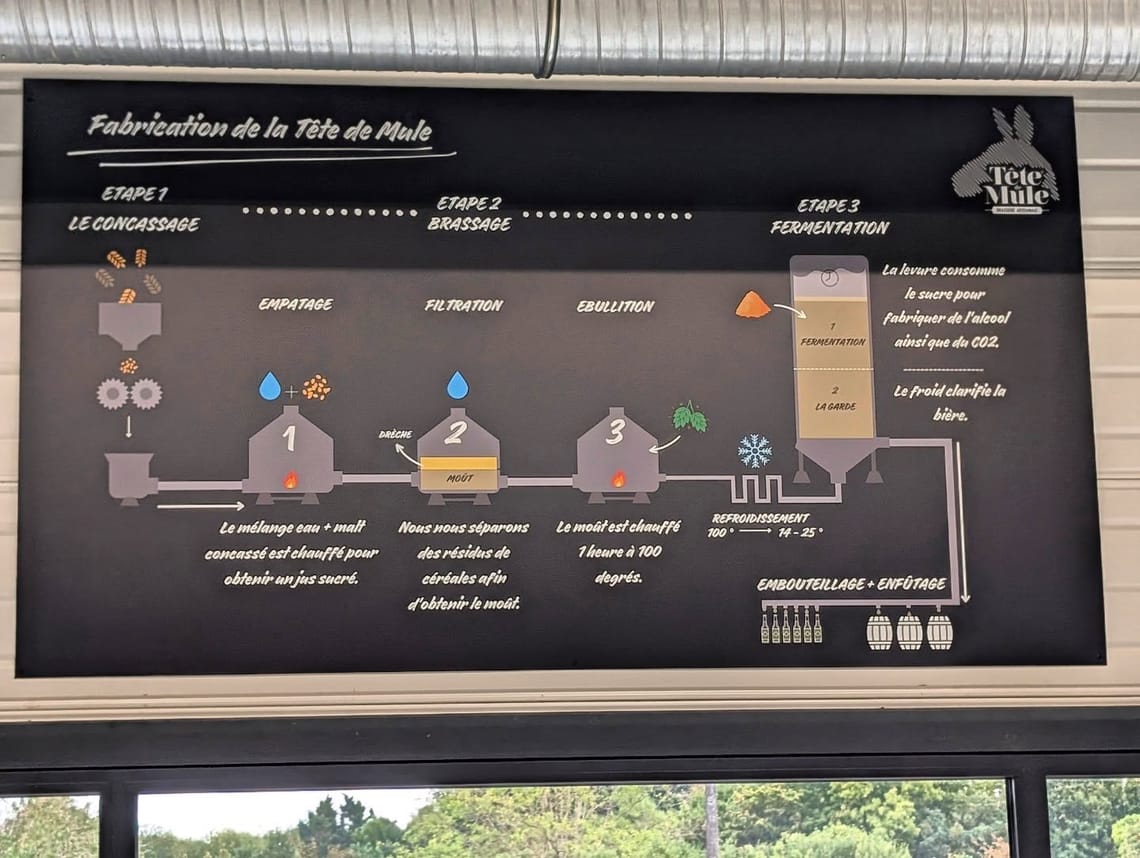 Un peu de culture... De céréales fermentées 🥣🍻...