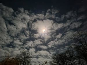 🎶 "I see the bad moon a-rising!!!" 🎶...