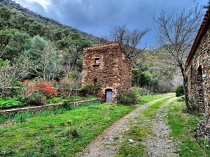 Balade dans la montagne ⛰️⛰️🌵🌵...