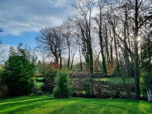 1er matin de 2022 ...