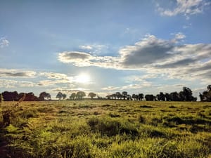 🎶 "You only need a roof when it's raining...