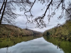 Balade du vendredi 💪...