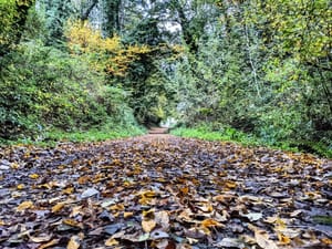 🎶 "Wake me up!" 🎶...