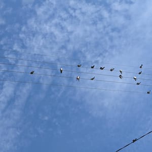 🎶 "I'm walking on sunshine !!" 🎶 #teampixel #pixel...