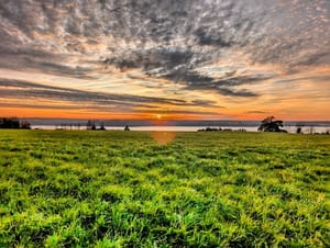 Balade hivernale sur les bords de Rance ...