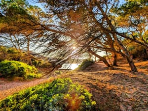 🎶 "ai amor que t'hi va la vida...