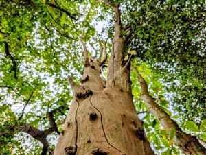 À l'abri des flots 🌊🌊...