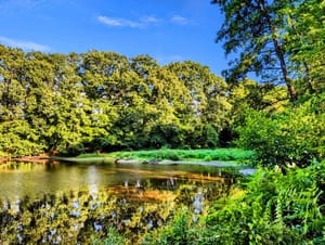 Balade nature 🌳🌳...