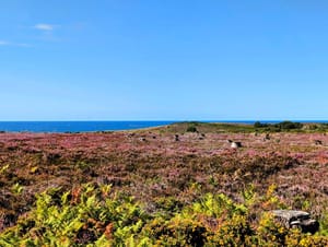 C'est Erquy ou la Corse ? 🌊...